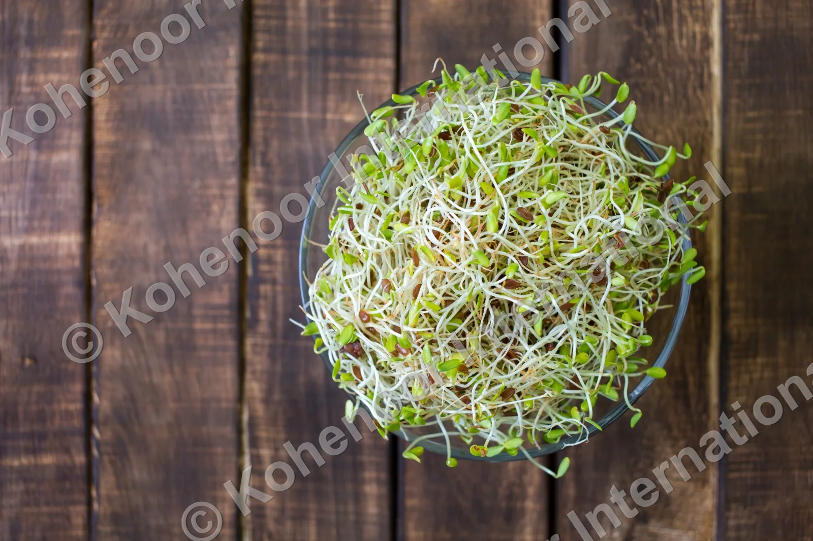 Kohenoor alfalfa sprouts in glass bowl on wood — premium sprouting microgreens seeds Pakistan