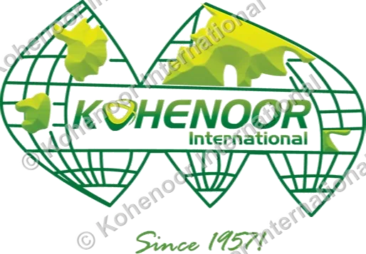 Kohenoor International logo