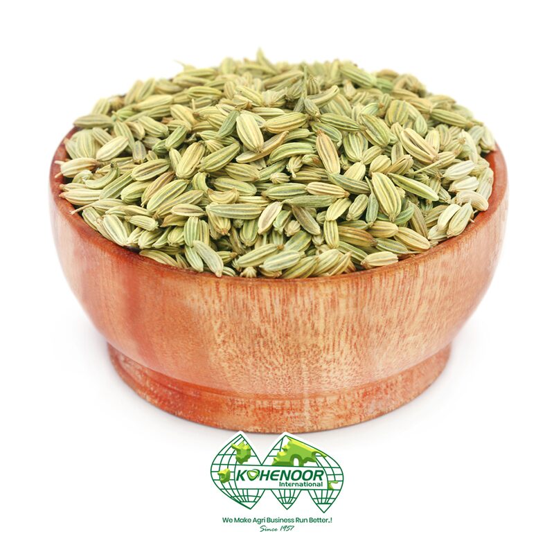 Fennel Seeds